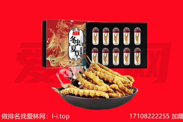 锡林郭勒镶黄回收虫草.jpg